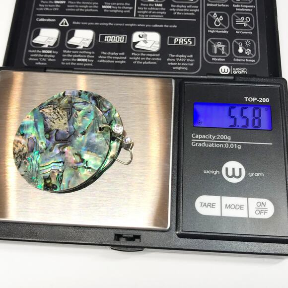 Vintage MOP Mother of Pearl Abalone Shell Round Disc Hook Earrings Oversized - Picture 2 of 9